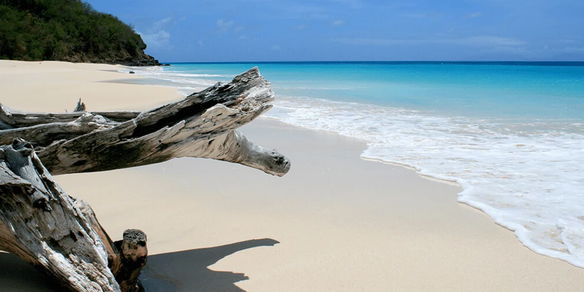 Antigua 3-min.webp